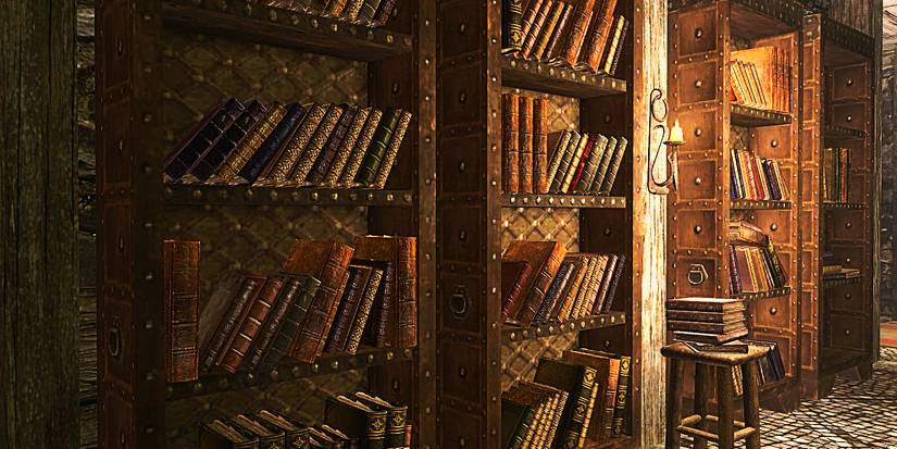 shelves with books from the elder scrolls 5