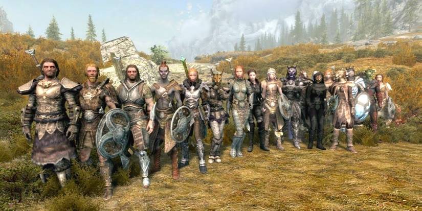 Skyrim Followers