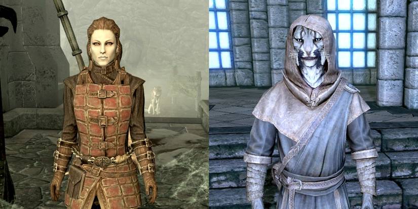Skyrim Warrior Companions