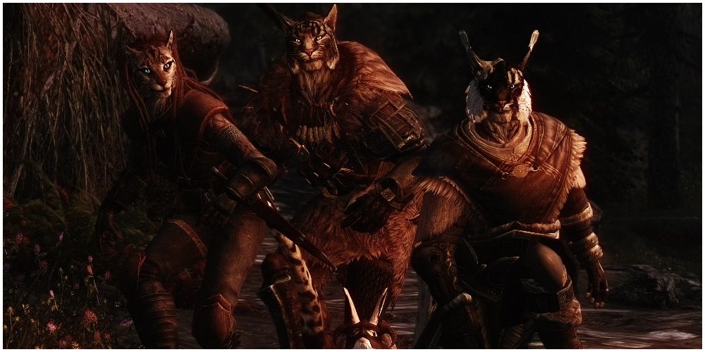Khajiit crouched down as they sneak
