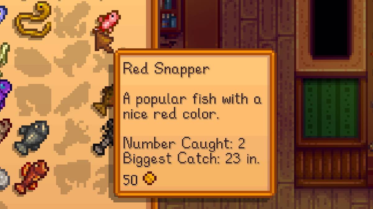 SV Red Snapper