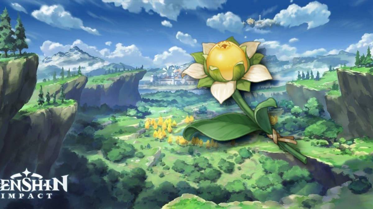 How to farm sweet flowers in Genshin Impact all levels