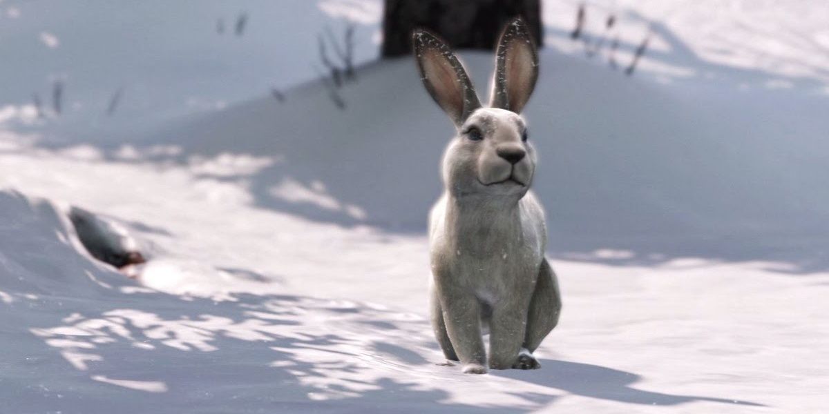 Rabbit in the snow The Last Of Us Part 2