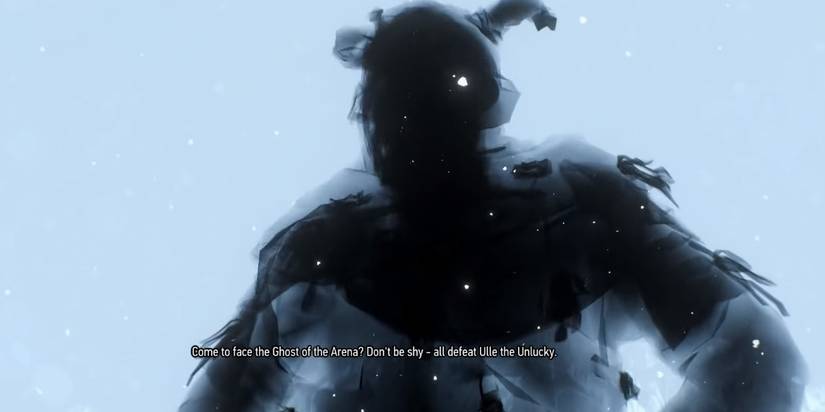 The Witcher 3 Master of the Arena