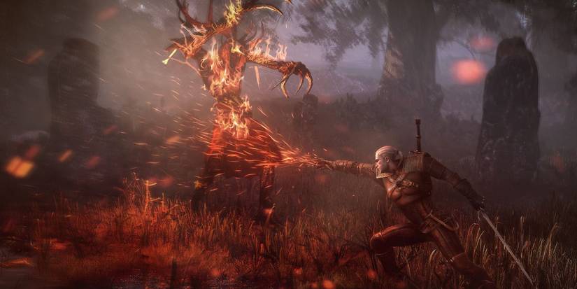 Timing Situational Specific - Witcher 3 Alternate Signs Guide