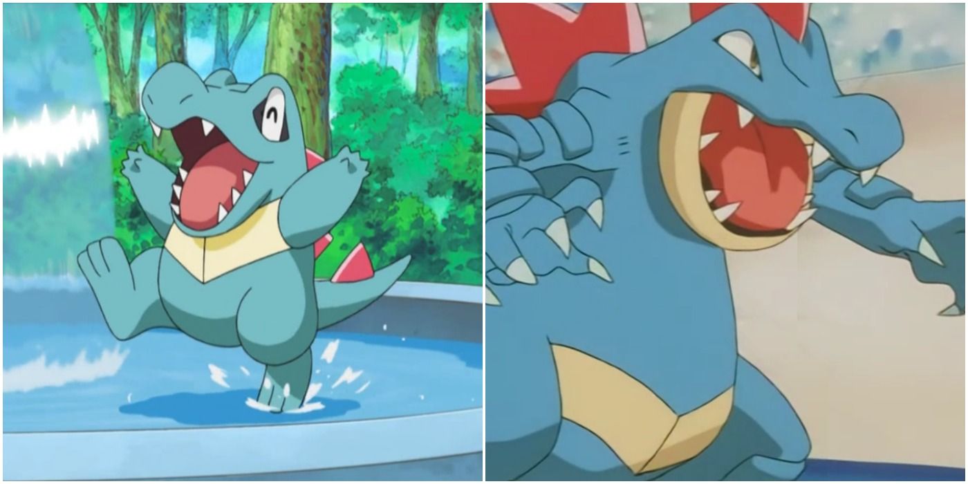 Pokemon Totodile Feraligatr