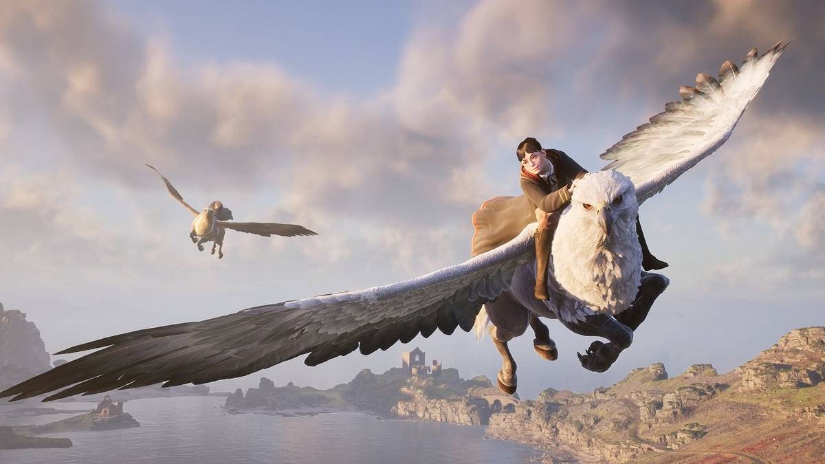 Warner Bros Live Service