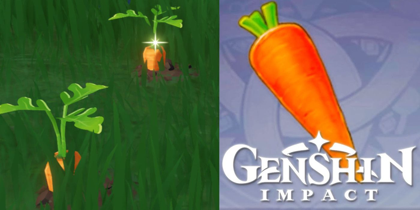 Finding Carrots in Genshin Impact