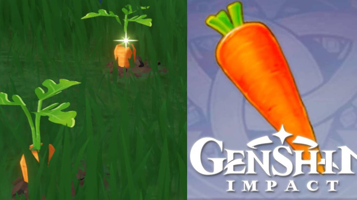 Finding Carrots in Genshin Impact