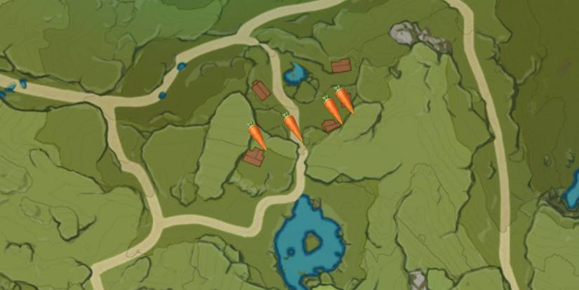 Where-to-get-Carrots-in-Genshin-Impact-Springvale