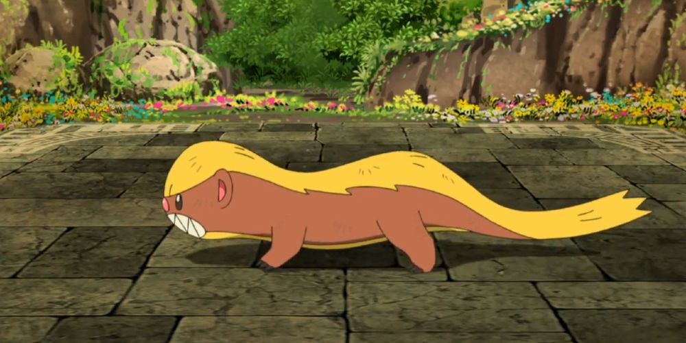 Yungoos in the Pokemon anime