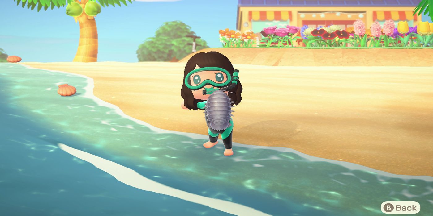 Animal Crossing: New Horizons - Every New Sea Creature for January 2021