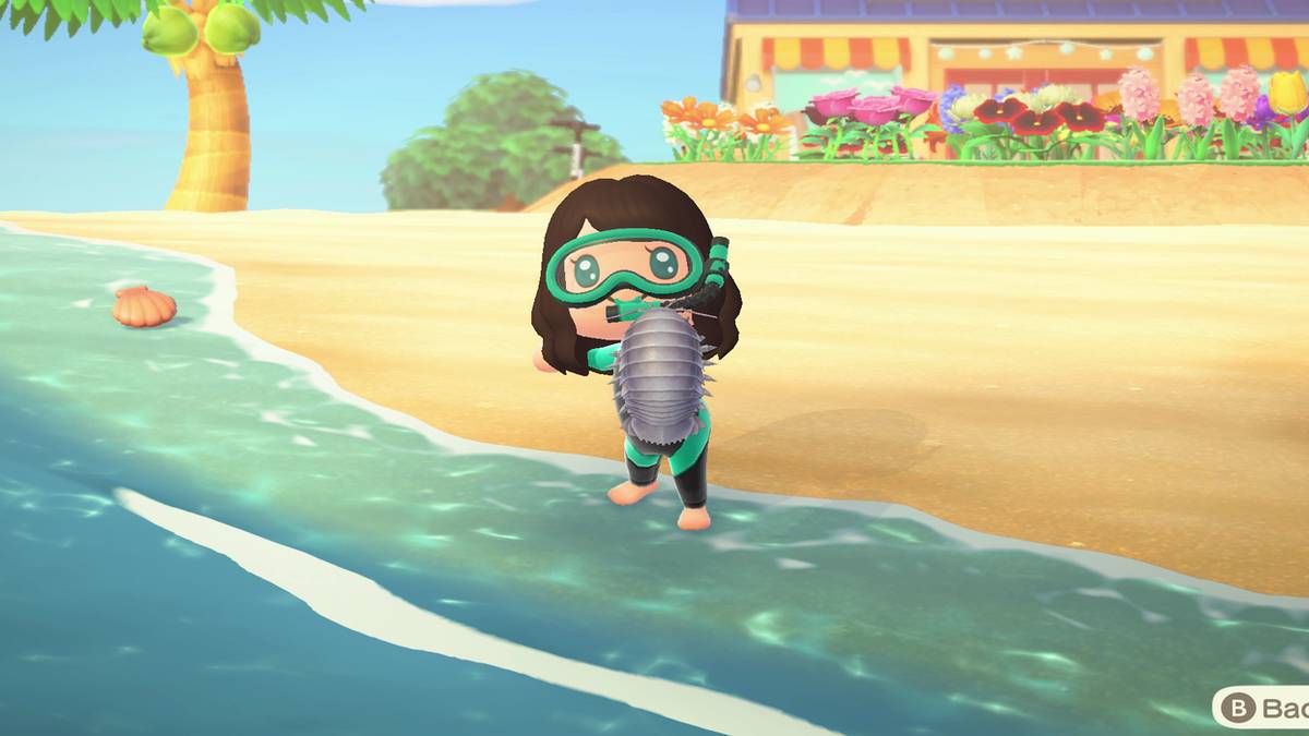 animal crossing new horizons player shows off giant isopod