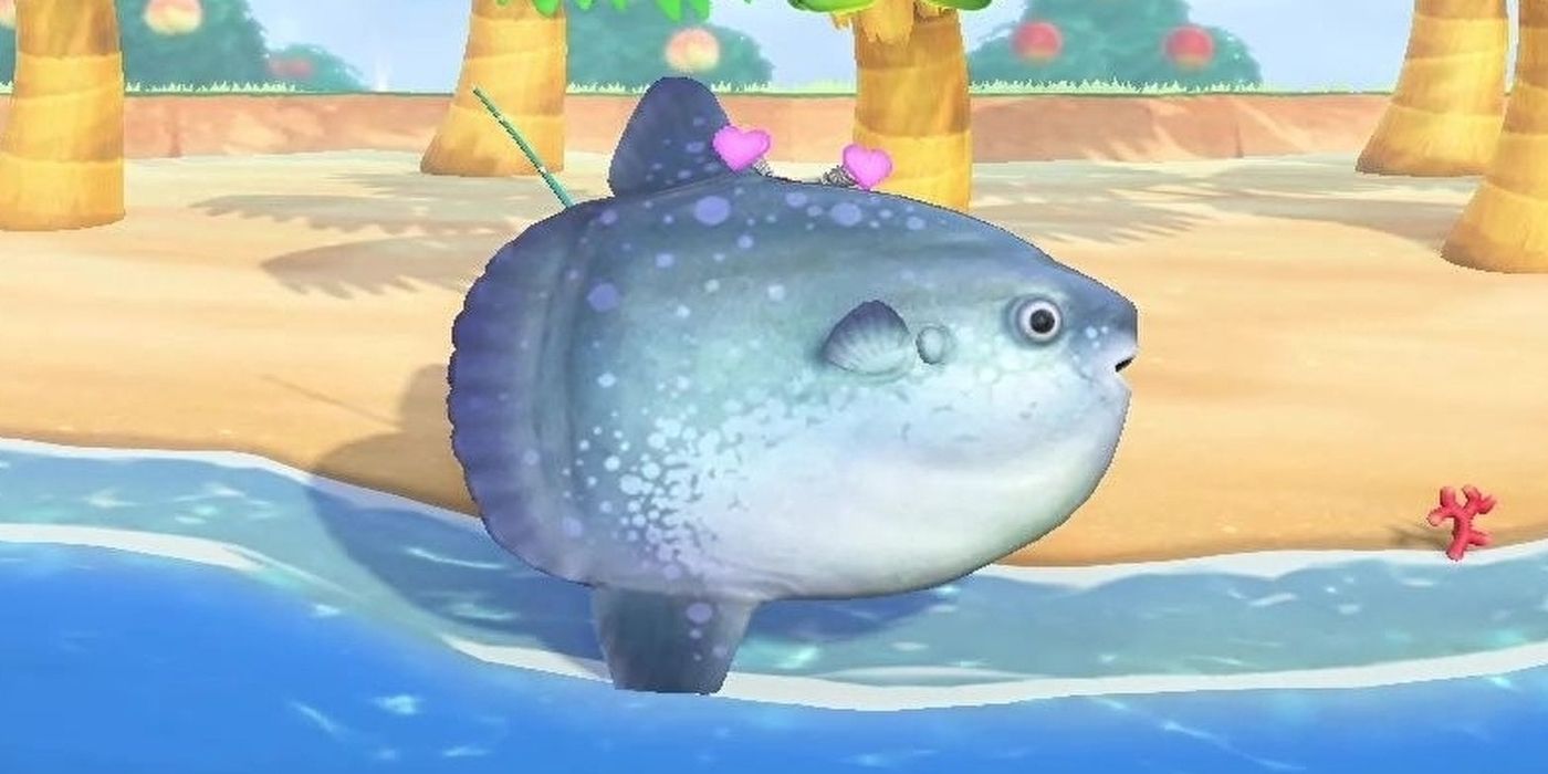 sunfish being held up in animal crossing new horizons