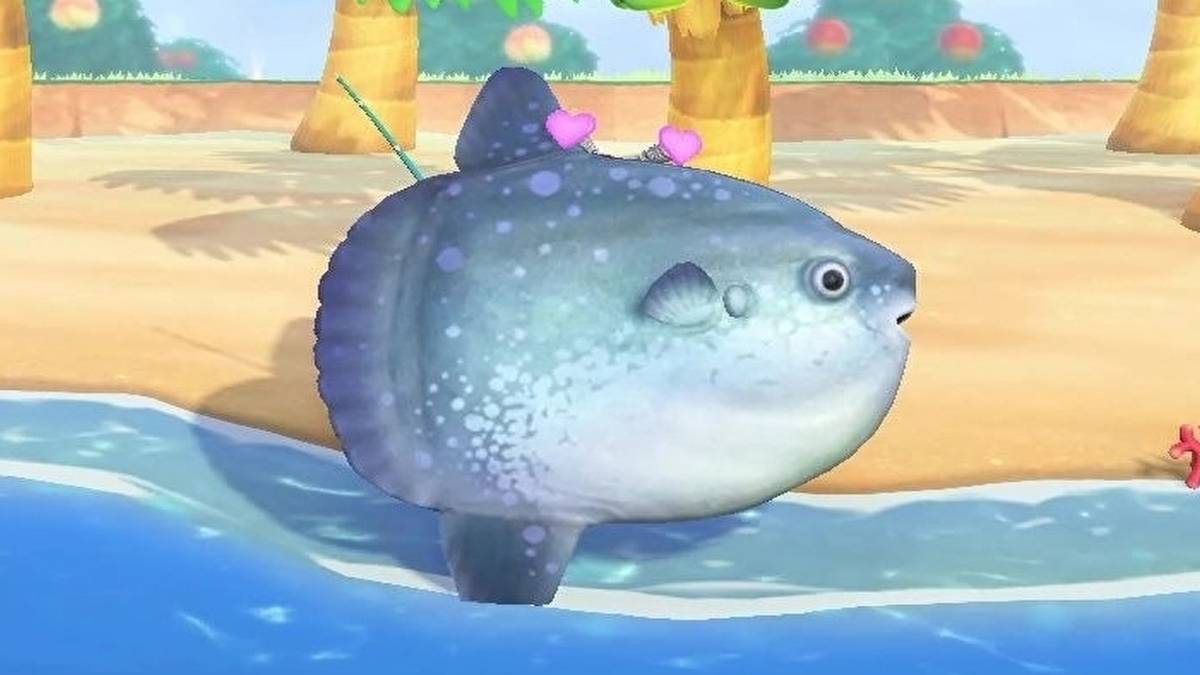 sunfish being held up in animal crossing new horizons