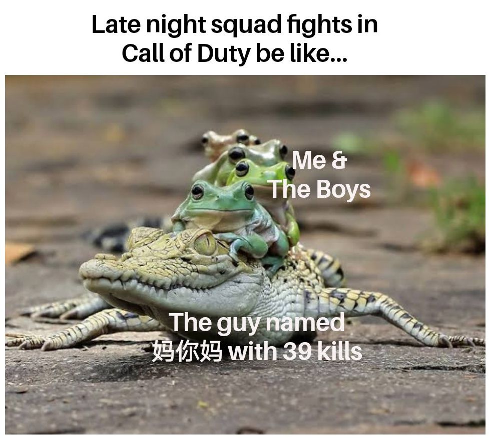 image of Frogs on a crocodile's back with the caption "me and the boys with the guy with a chinese name with 39 kills