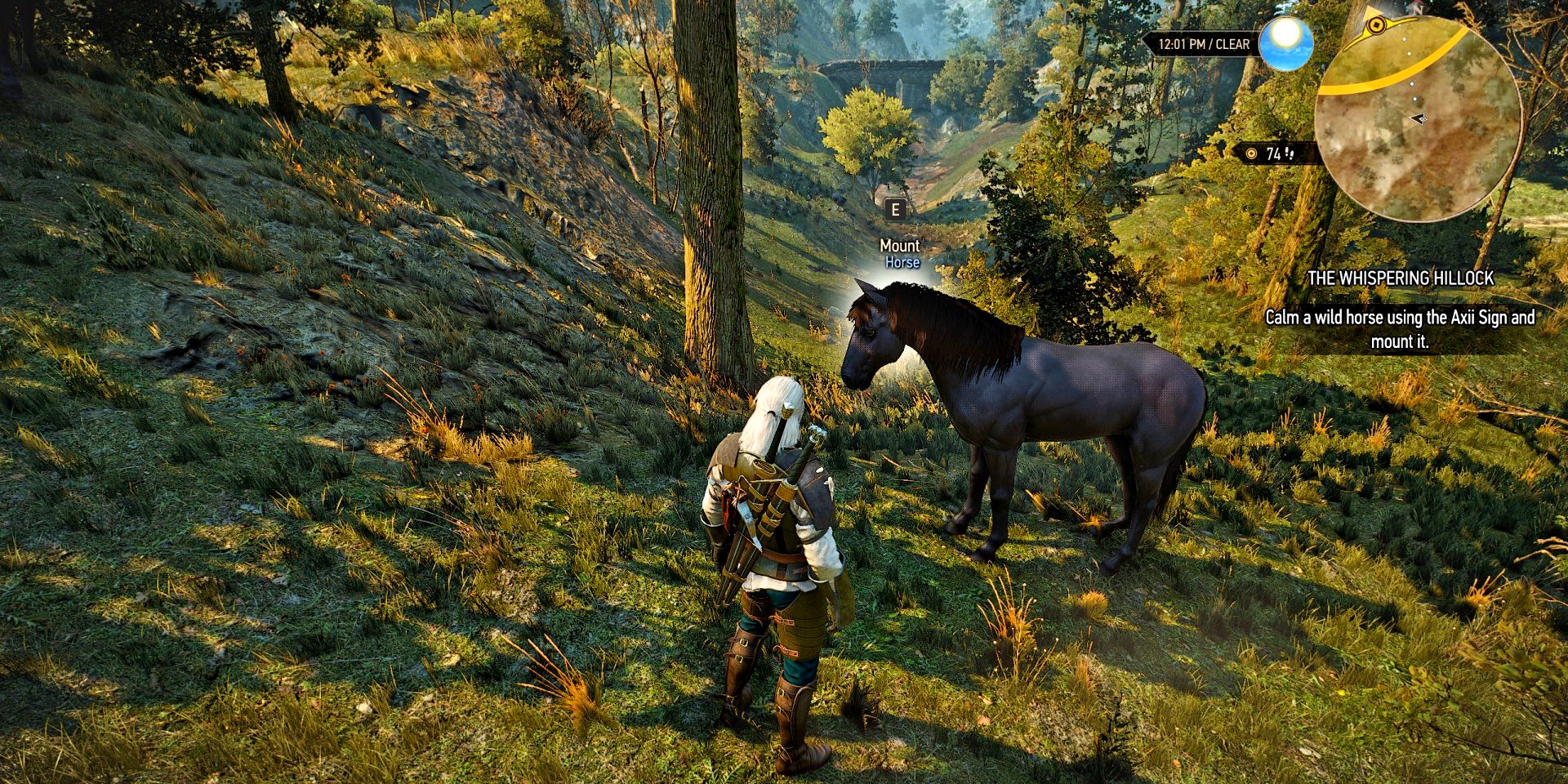 geralt in the witcher 3 calming a wild horse