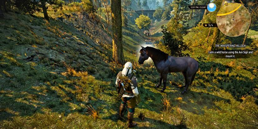 geralt in the witcher 3 calming a wild horse