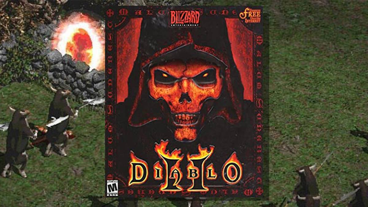 Diablo 2 cover art over cow level