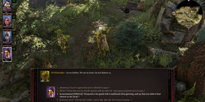 Sebille engaging in dialogue with an elf