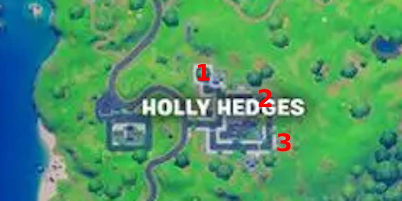 fortnite collect books from holly hedges and sweaty sands