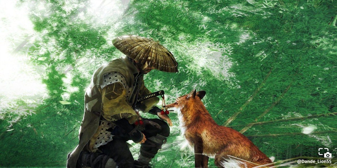 ghost of tsushima fox photo share of the year