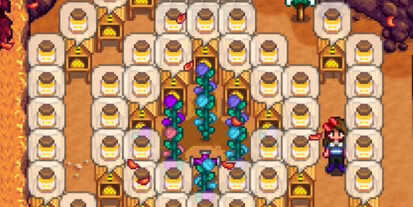 honey-farm-stardew-valley