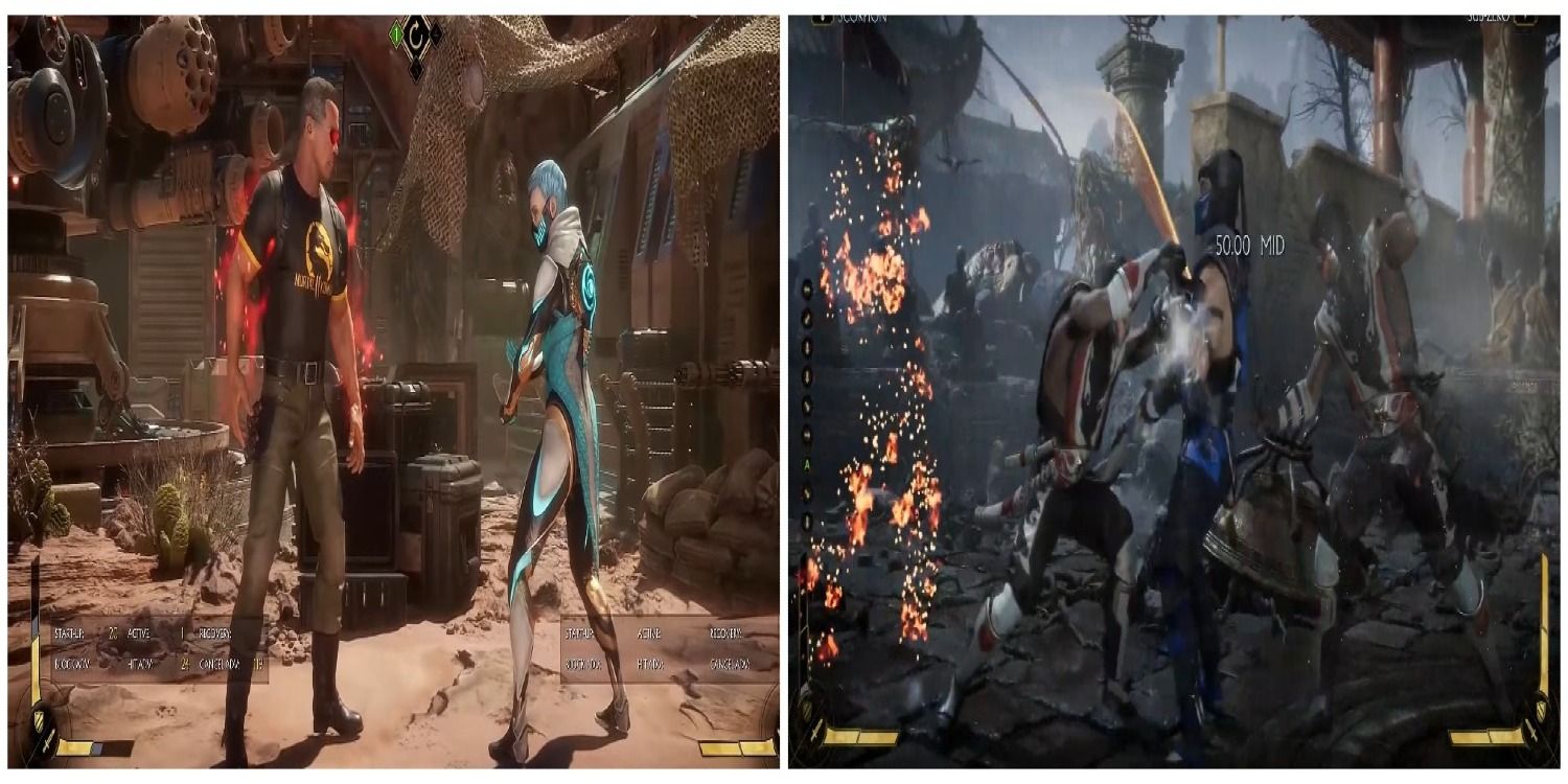 Terminator doing terminate and Scorpion doing Hell Port in MK11