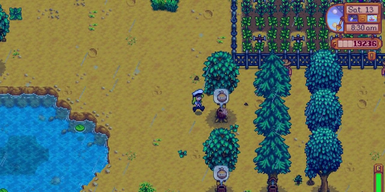 Maple syrup in Stardew Valley