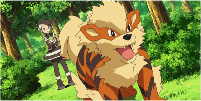 Marley's fire type pokemon in the tv show.