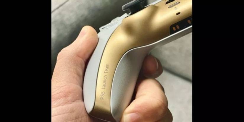 ps5 employee controller