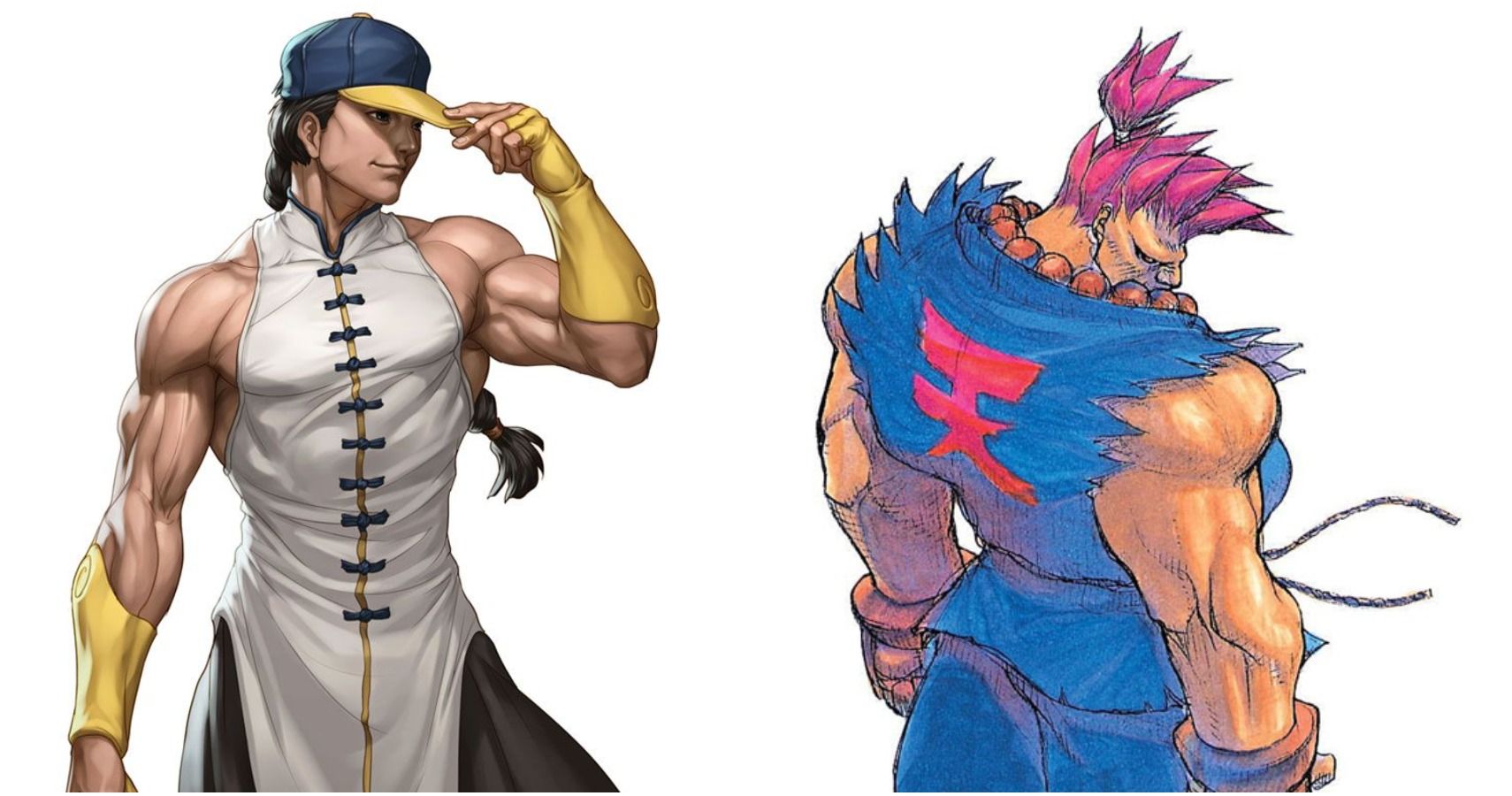 street fighter characters akuma