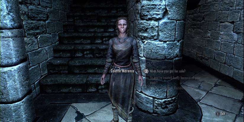 expert restoration trainer in the college of winterhold.