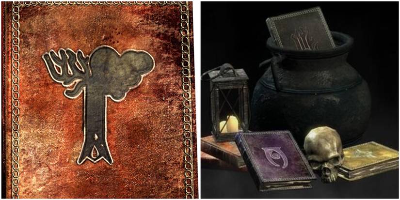 close up of an alteration skill book and more from other skills on the right.