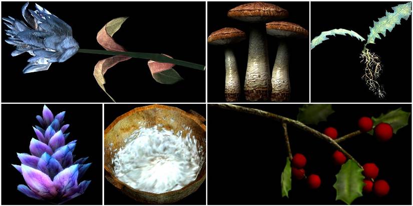 A collage of Skyrim alchemy ingredients