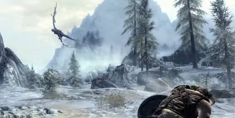 Skyrim flying dragon