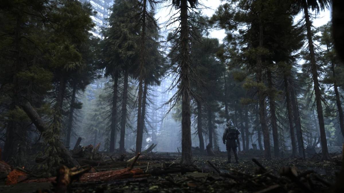 stalker 2 wilderness screenshot