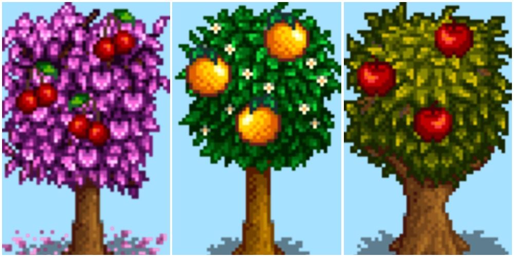 A cherry tree, orange tree, and apple tree