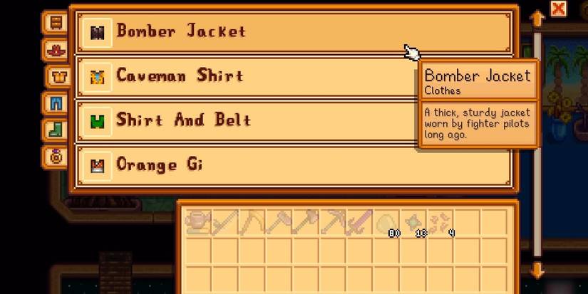 stardew valley wardrobe list