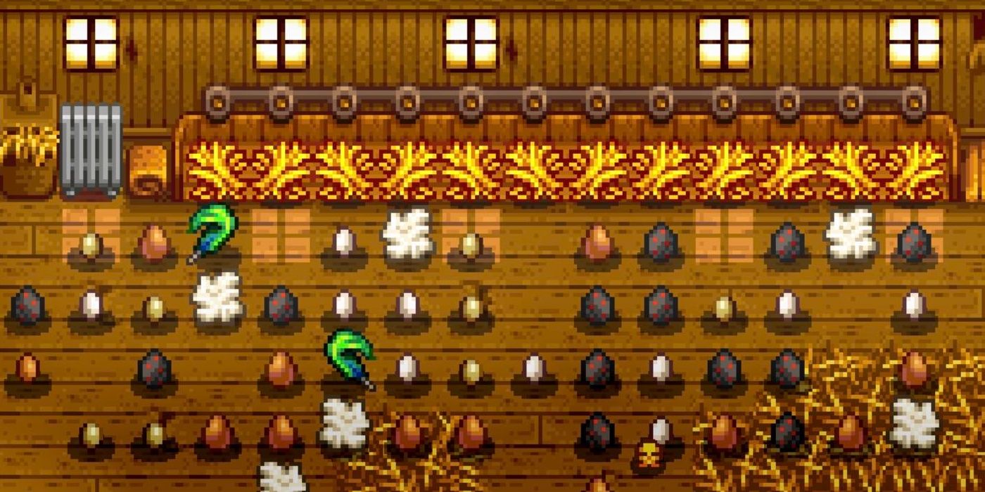 Stardew Valley: How to Feed Chickens