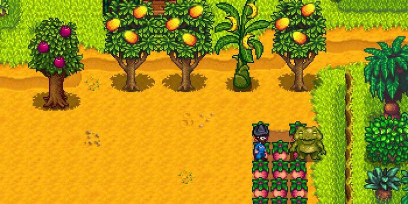 stardew valley ginger island farm