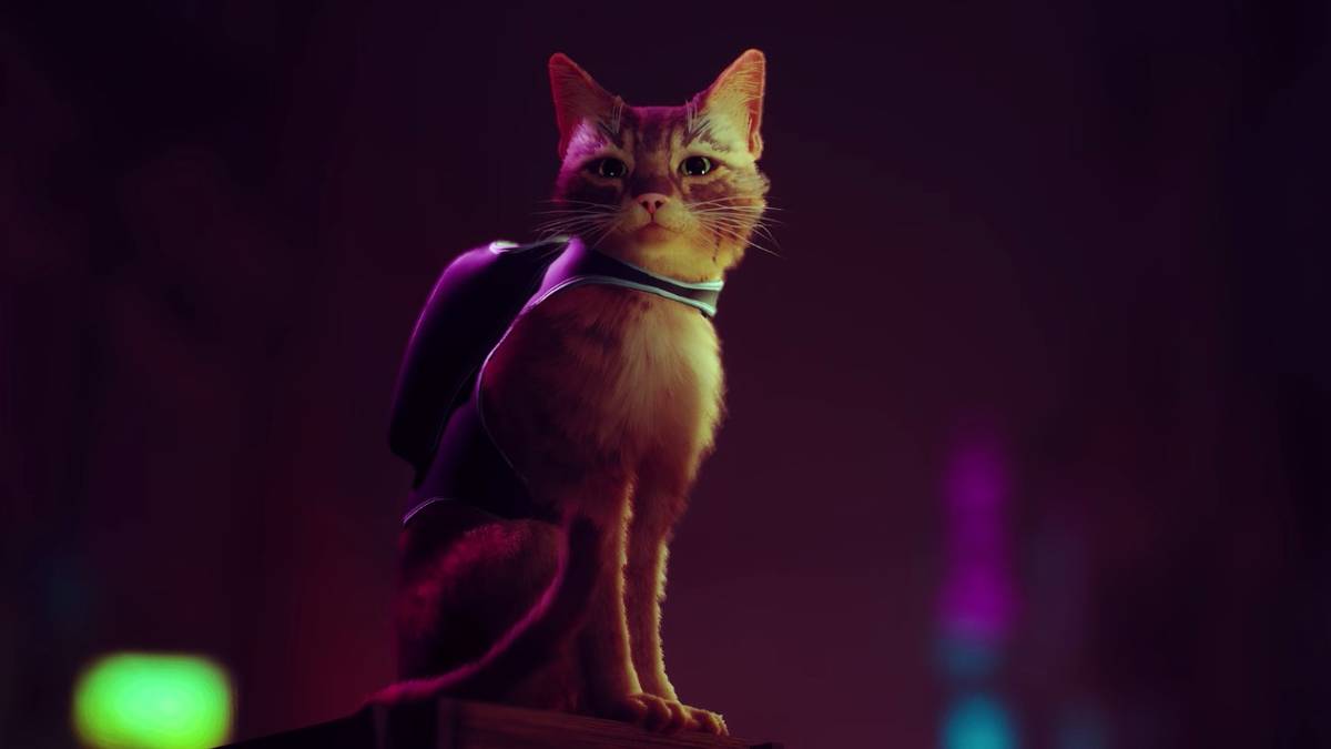 stray reveal trailer shot