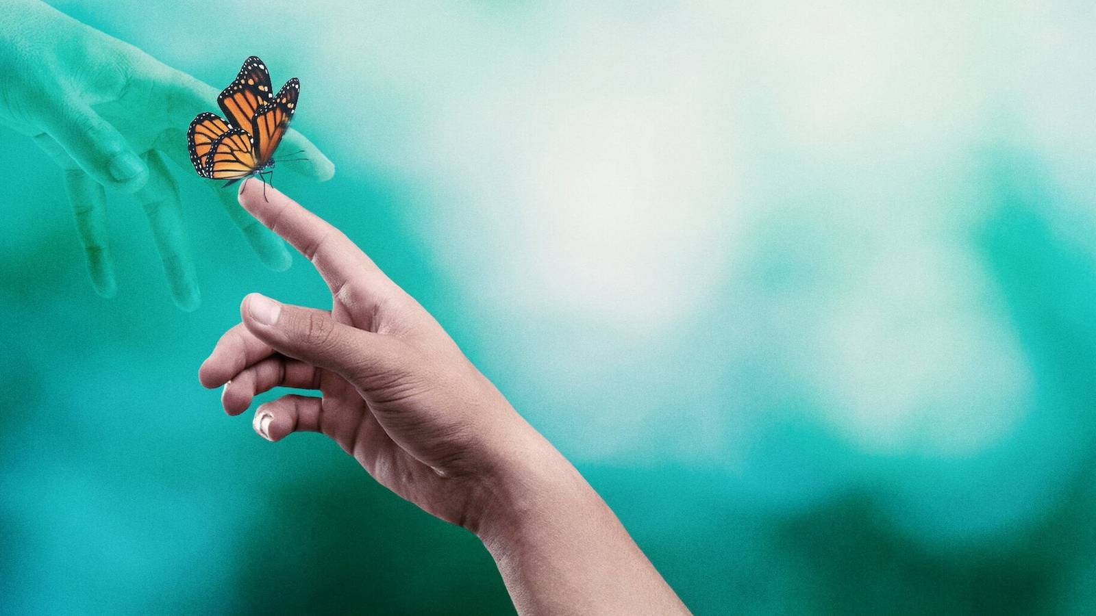 surviving death trailer netflix