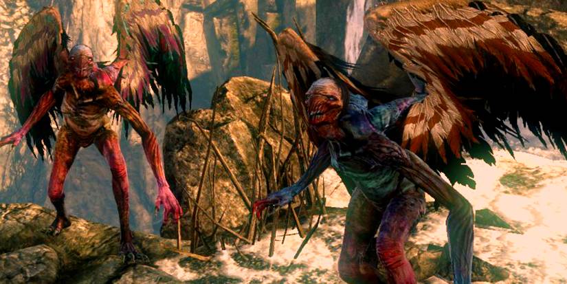 harpies from the witcher 2