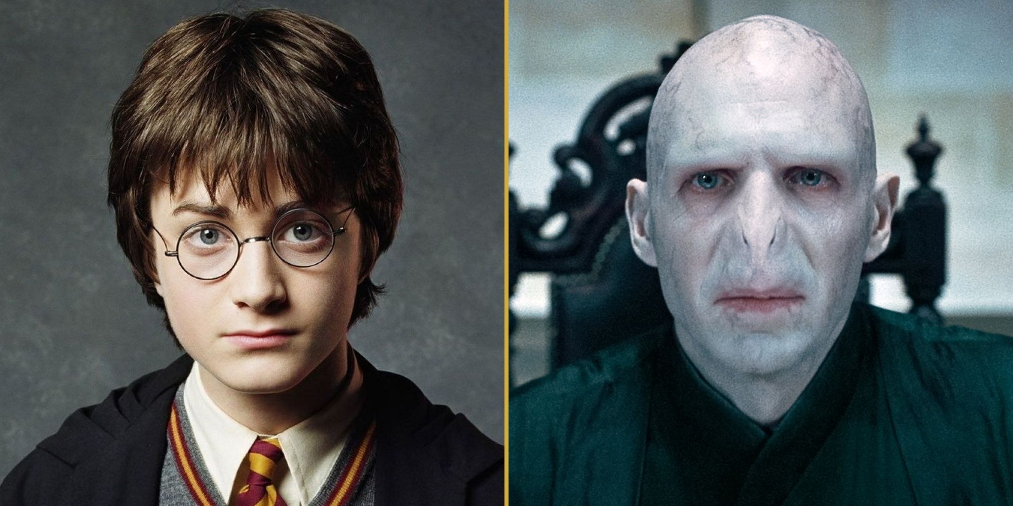 Harry Potter and his distant cousin Lord Voldemort