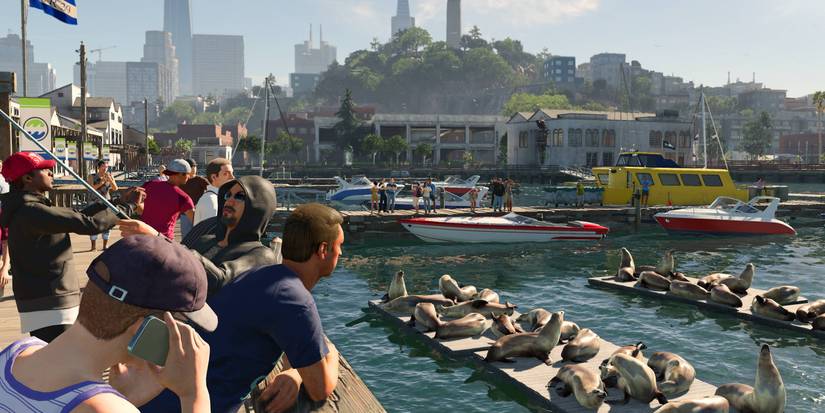 people over looking the san fransico bay with seals in the water