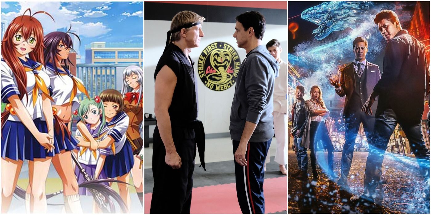 10 Martial Arts Shows To Watch If You Loved Cobra Kai