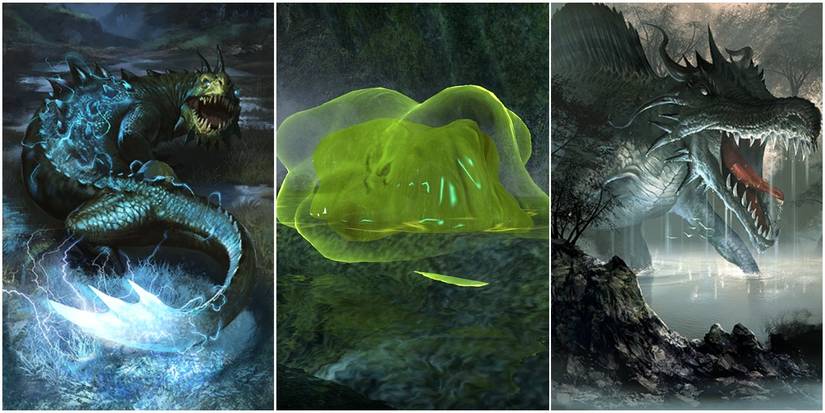 10 Things About Black Marsh Deadly Creatures