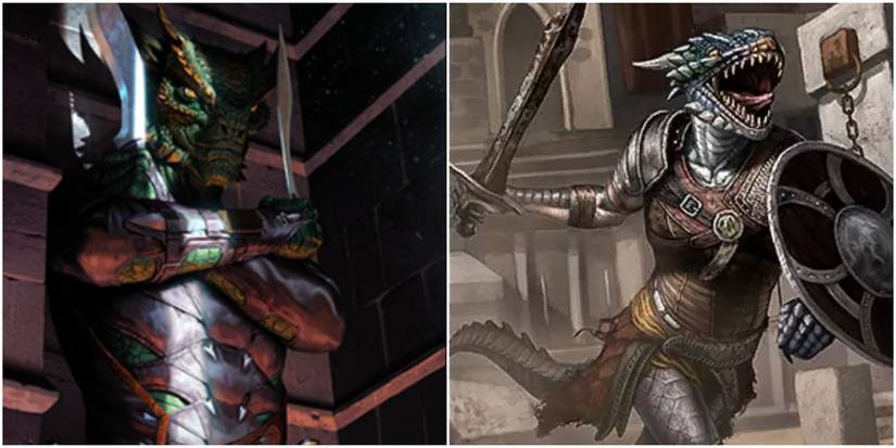 10 Things About Black Marsh Government