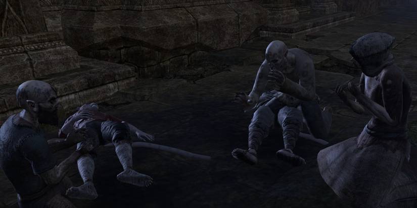 10 Things About Black Marsh Knahaten Flu